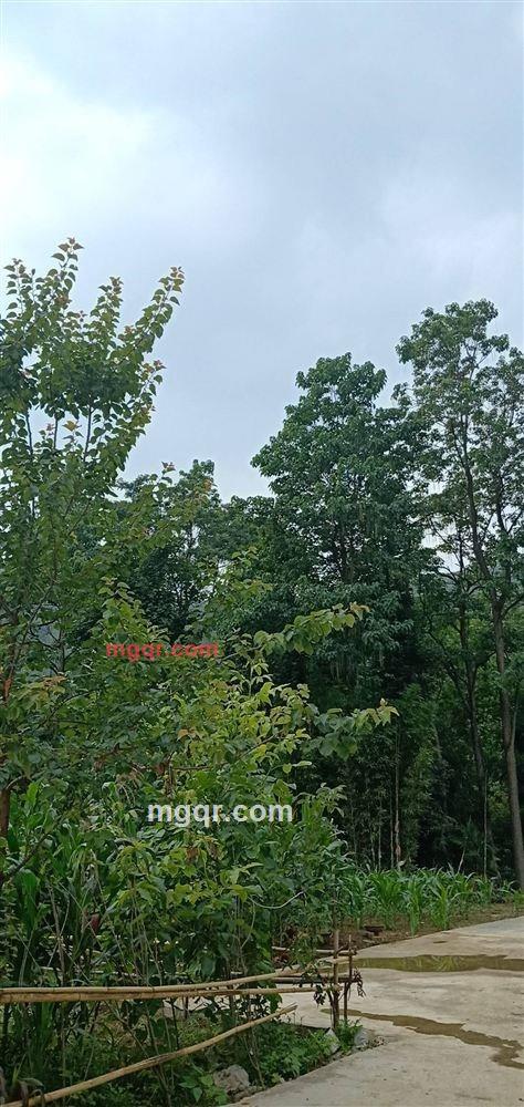 黑夜梦回的第14张照片