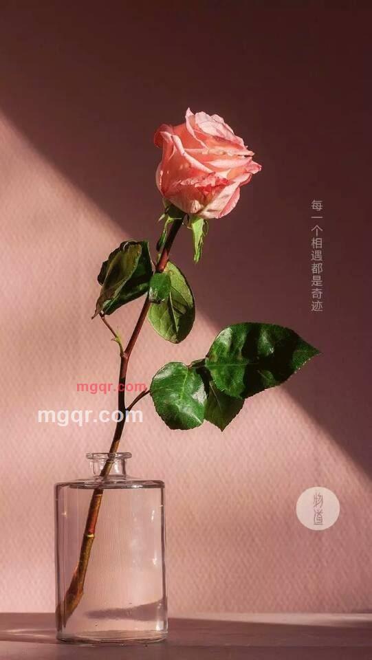 做你的心上人的第4张照片