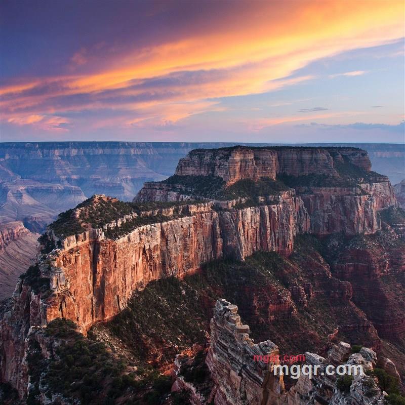 梦在寒武记的第5张照片