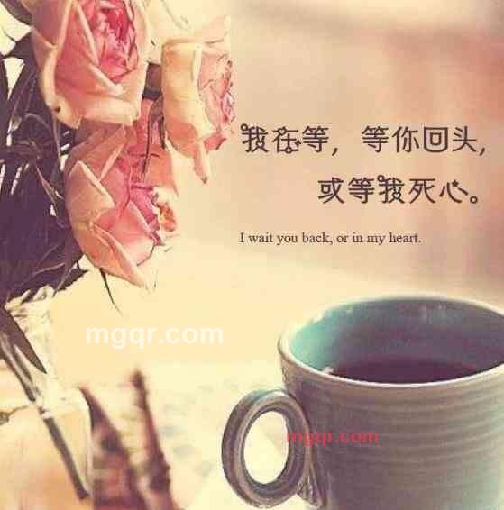 狂舞的第2张照片