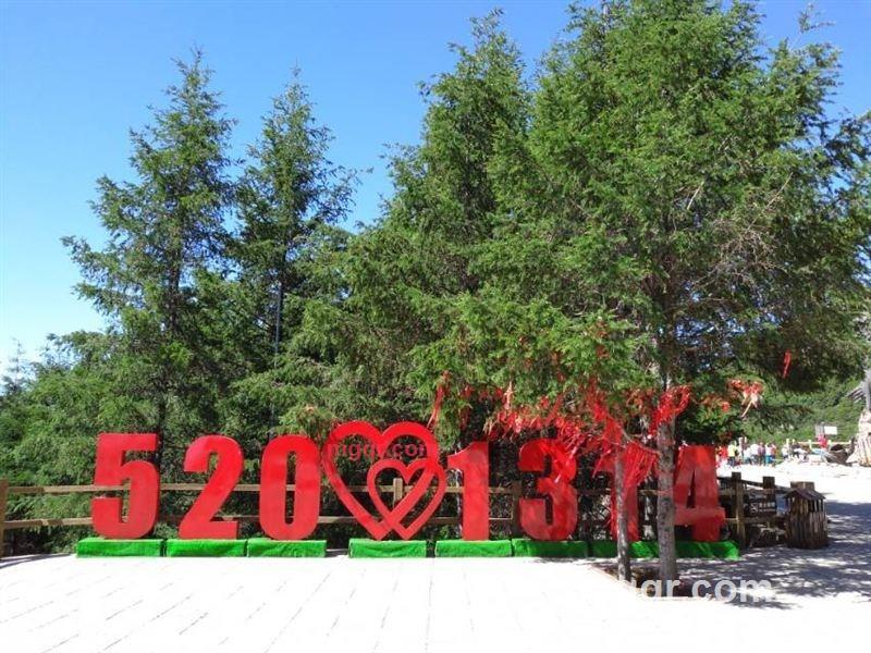 狂舞的第1张照片