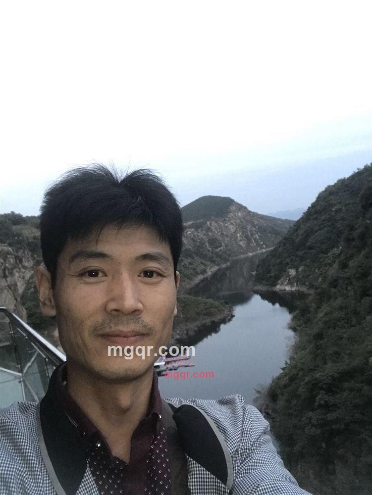 饥饿的北极狼的第1张照片