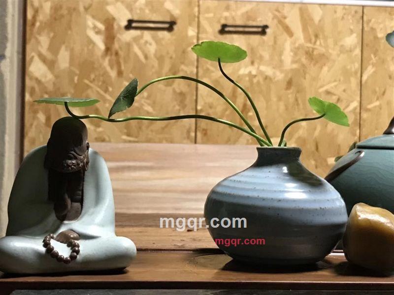 张野的第1张照片