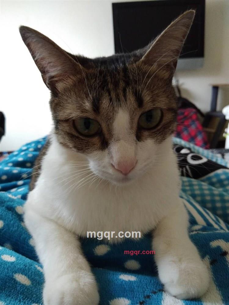 丽丽宝宝的第1张照片