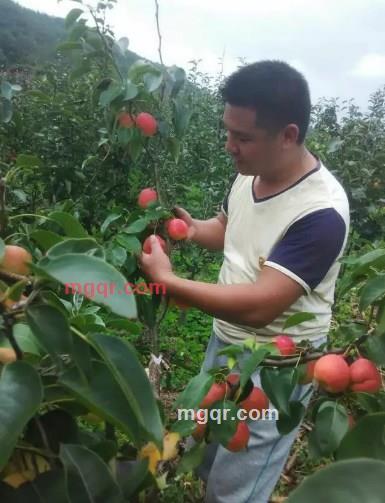 马金荣的第8张照片