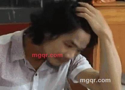 毛毛的第4张照片