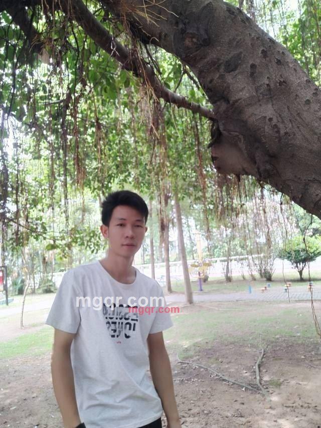 毛毛的第3张照片