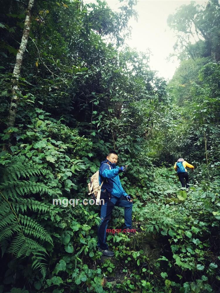 影子丶的第1张照片