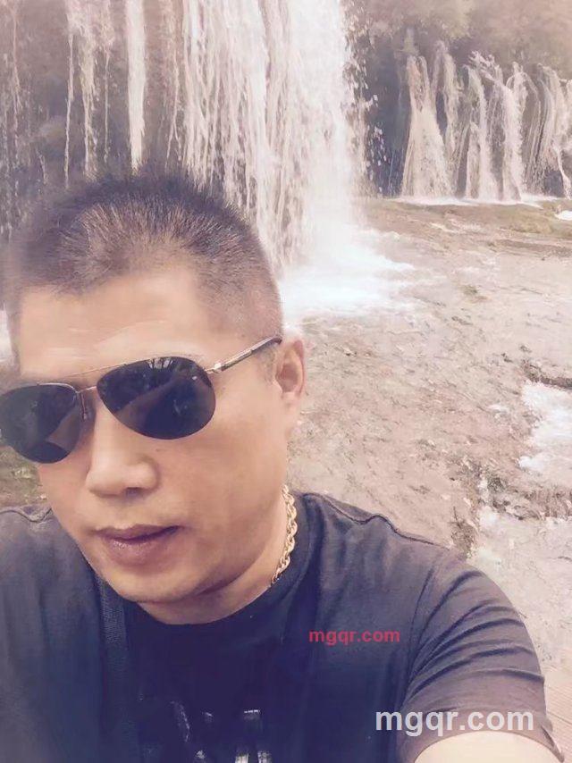 老虎的第4张照片