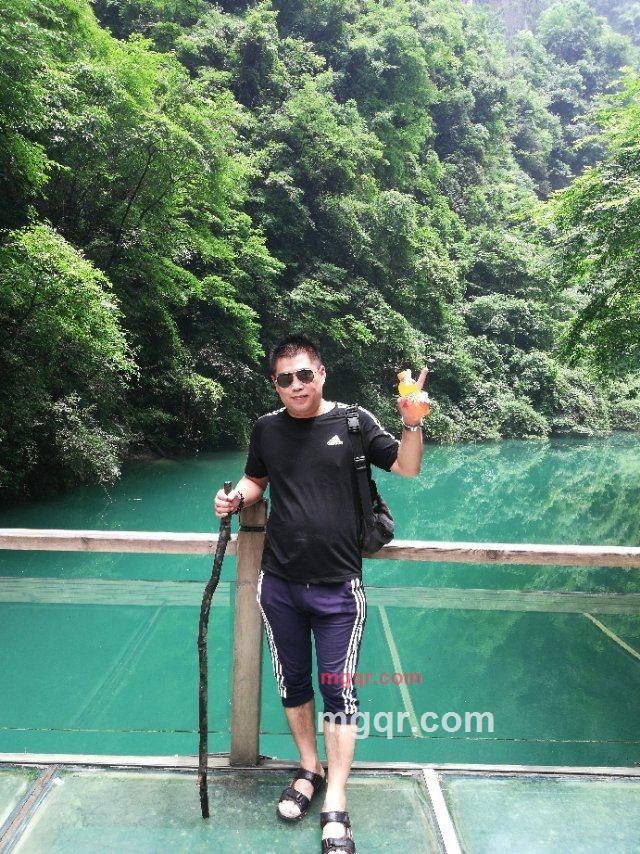 老虎的第3张照片