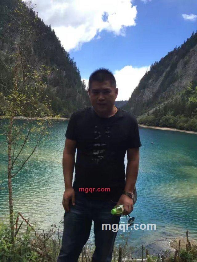 老虎的第2张照片