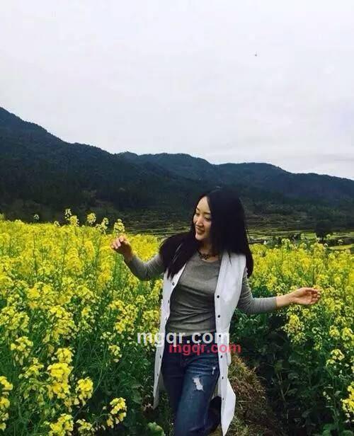 芙蓉花的第1张照片