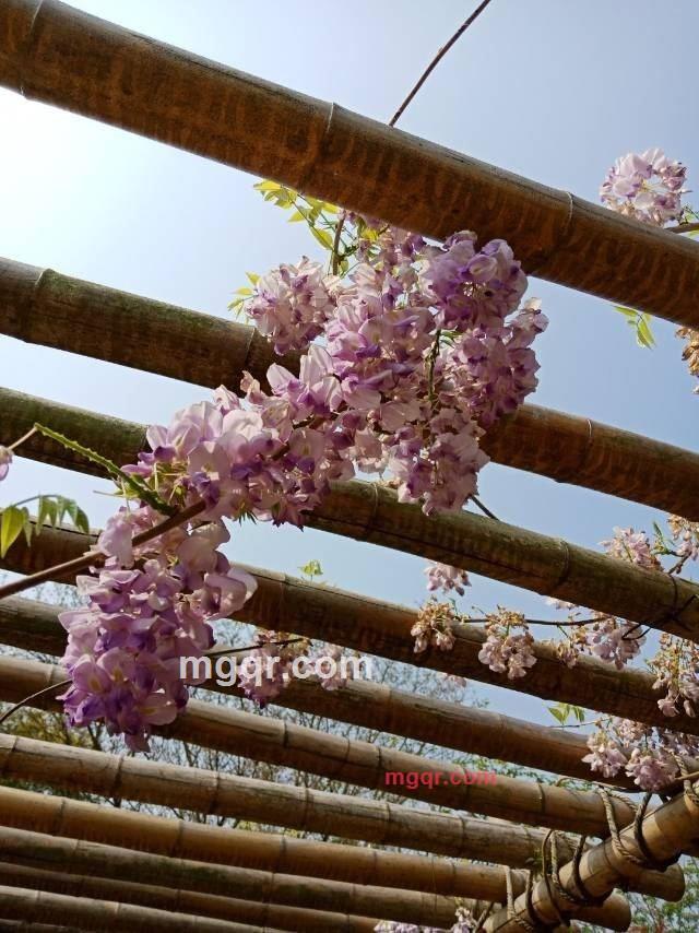 夜幕的第2张照片