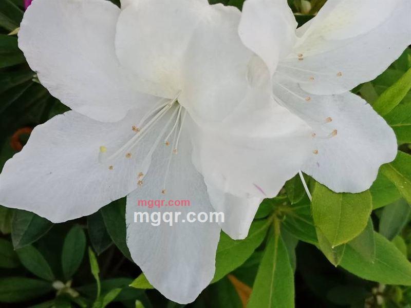 夜幕的第1张照片