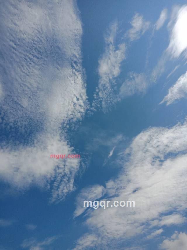 夜幕的第3张照片