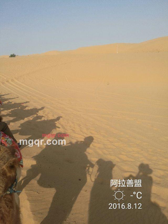 知行者的第1张照片