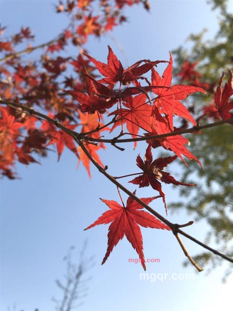 天地宽的第3张照片