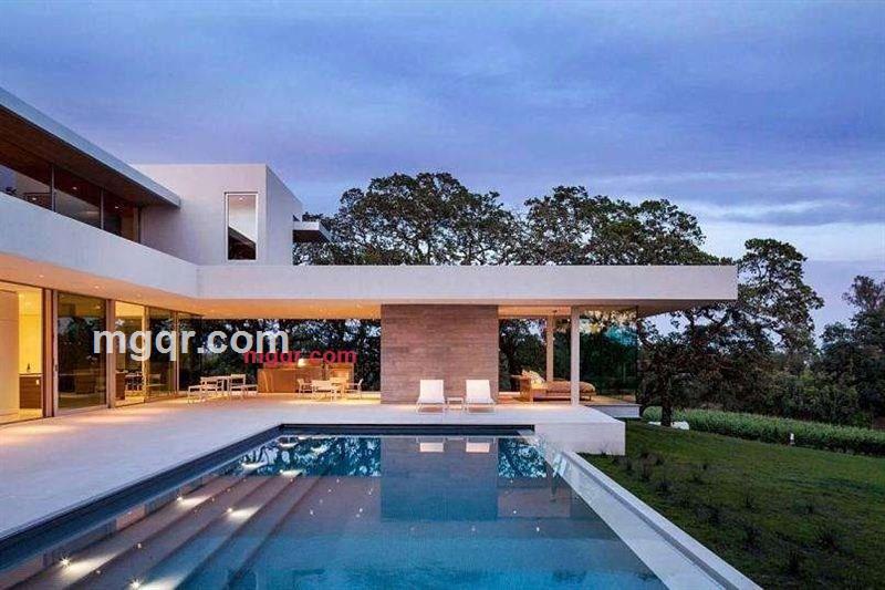 花田中的守望的第1张照片