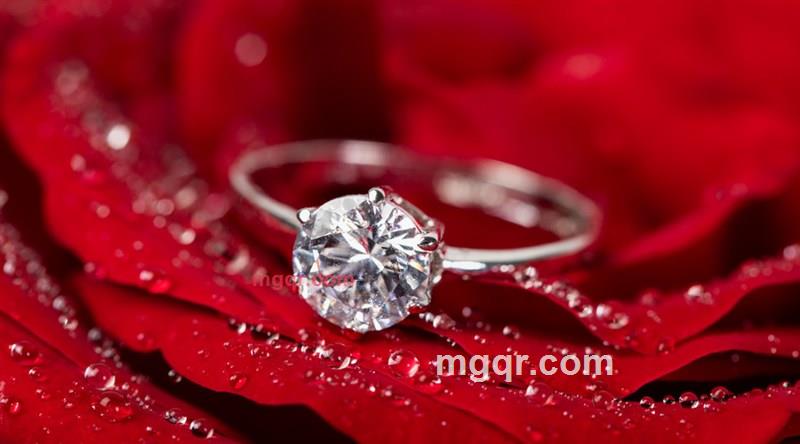 梦在寒武记的第4张照片