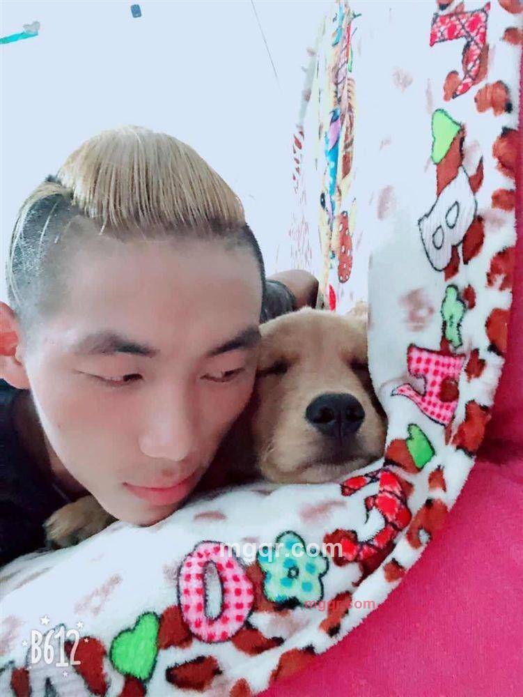 反应迟钝¥爱情愚蠢的第1张照片