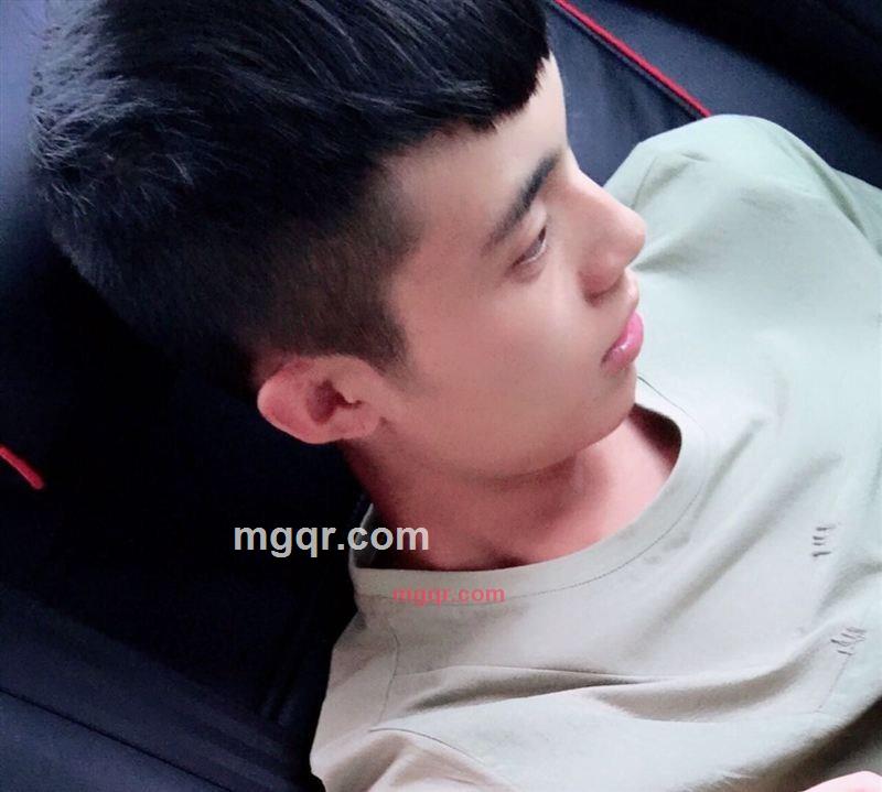 飞翔的小鸟的第1张照片