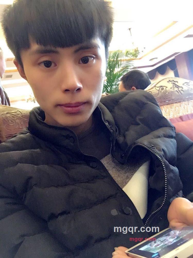 飞翔的小鸟的第2张照片