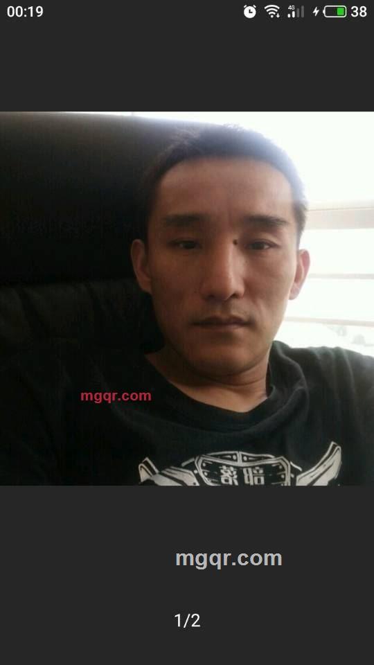 树等藤的第1张照片