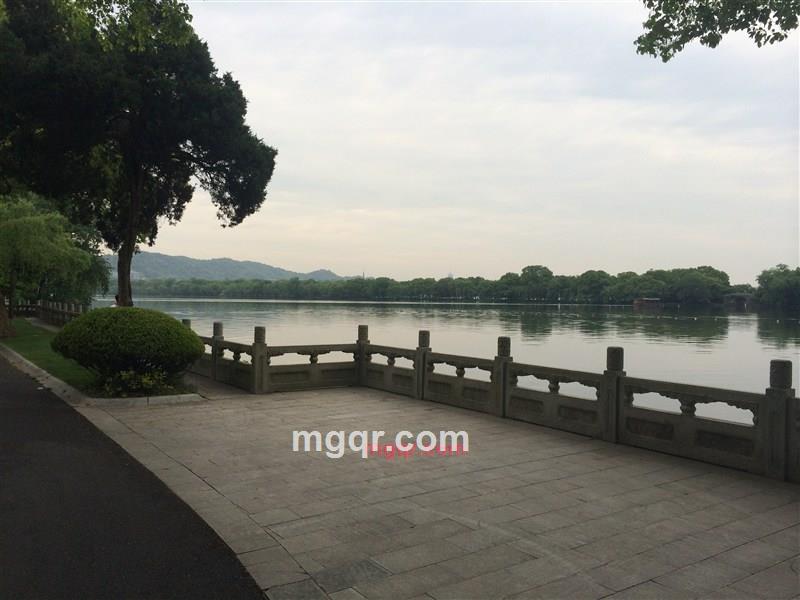 子柳的起的第1张照片