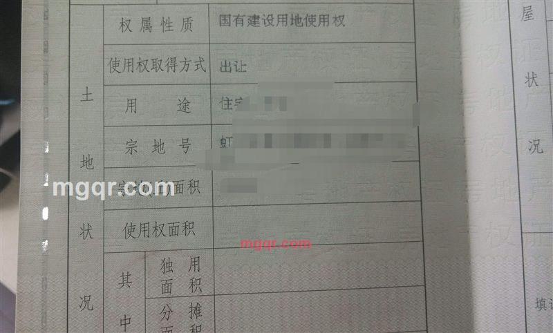 你的选择的第1张照片