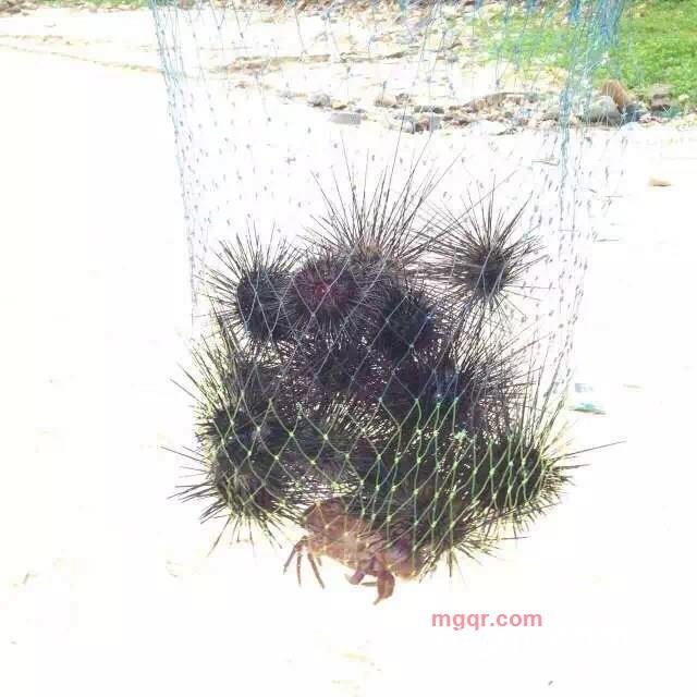 牛傻的第1张照片