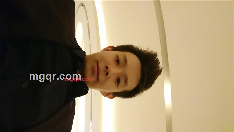 觅食小狼狗的第2张照片