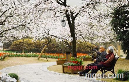 归者2018的第5张照片