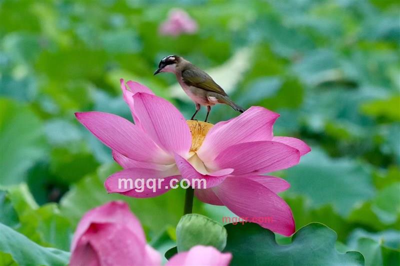 寂寞的第6张照片