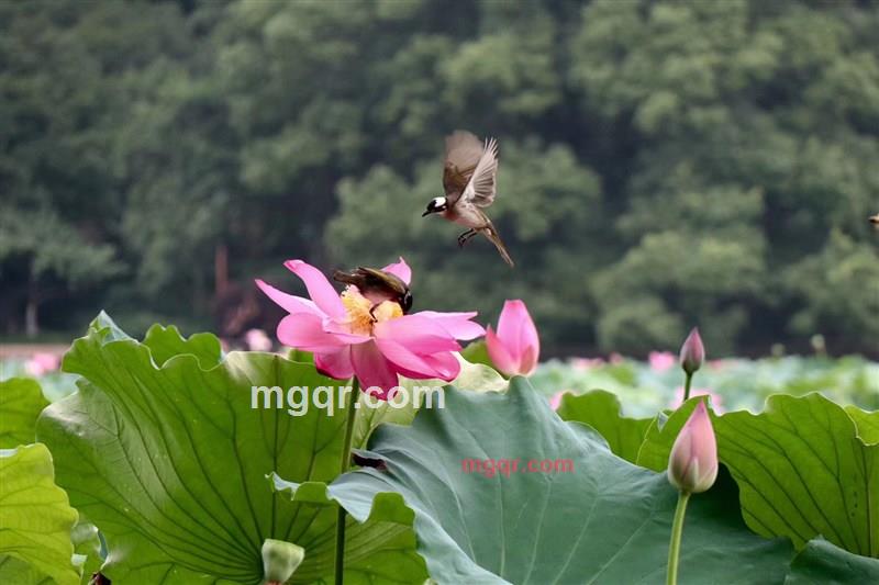 寂寞的第5张照片