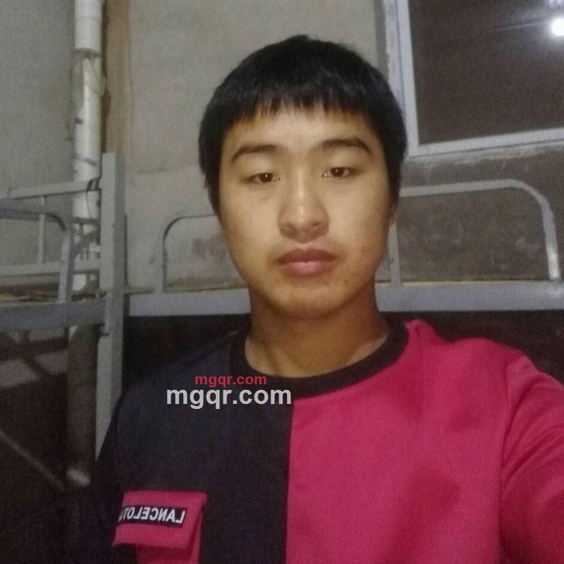 龙在外的第1张照片