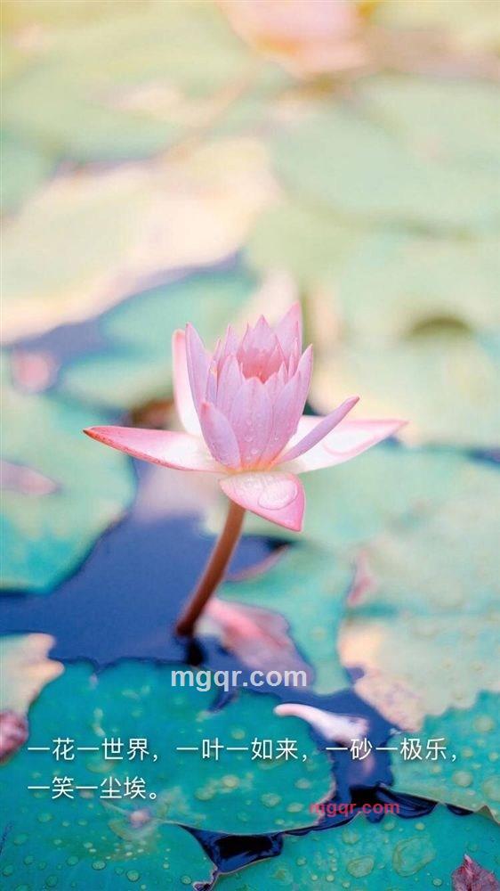 往事随风的第1张照片