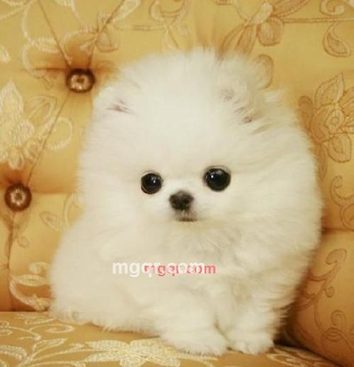 张楚晗的第1张照片