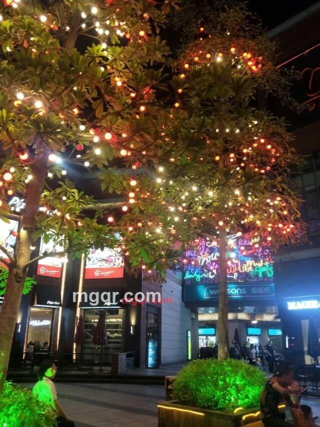 青柠檬檬哒i的第2张照片