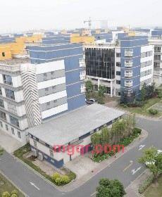 孤独的夜的第1张照片