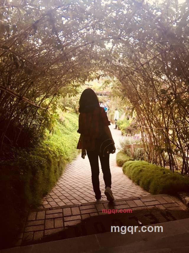 盈宝??的第1张照片