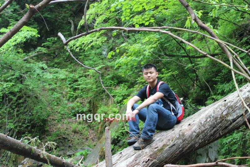 彼岸灯火的第1张照片