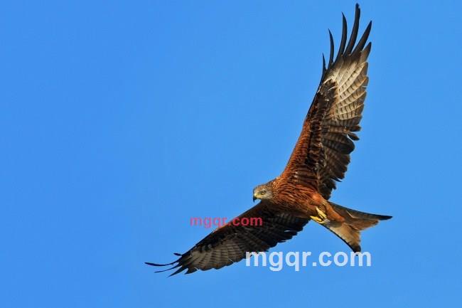 知道你想的第4张照片