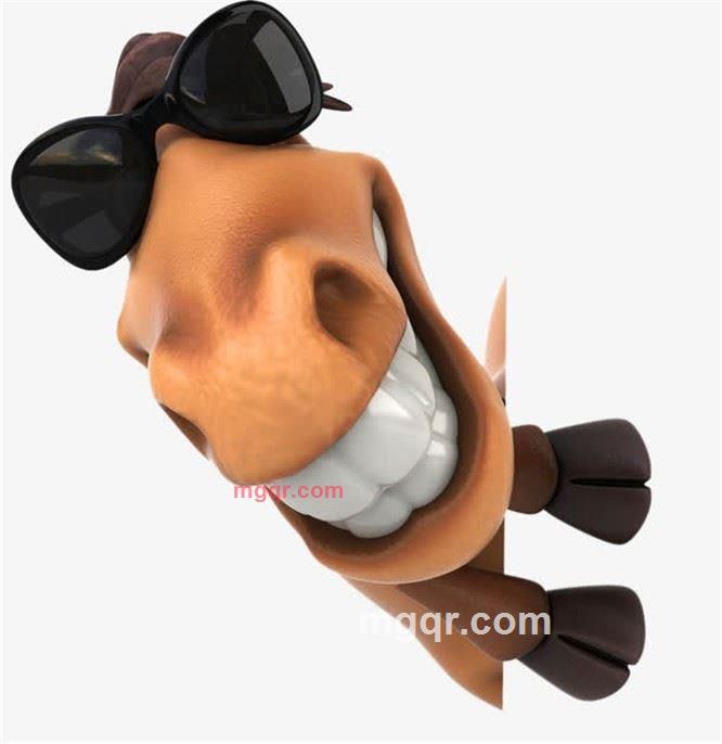 小菘菘的第2张照片