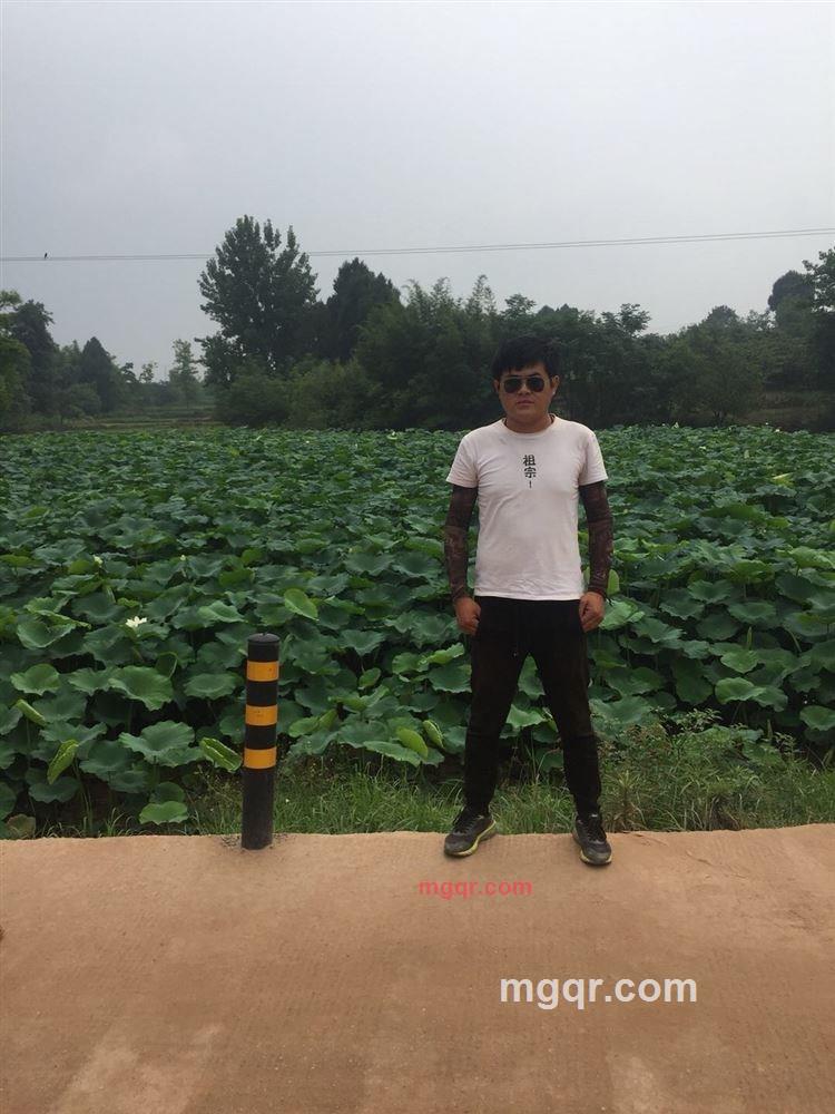 执着的@的第3张照片