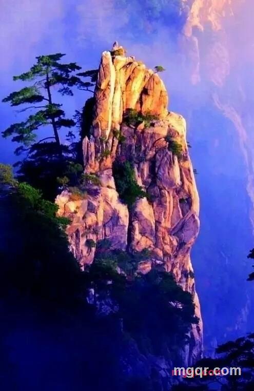 中古騎士的第6张照片