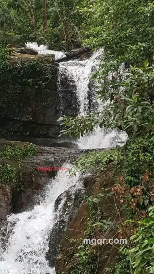 中古騎士的第1张照片