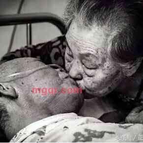 土中金的第2张照片