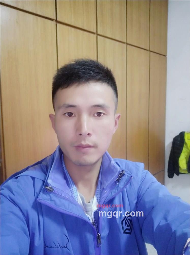 寂寞的狗的第1张照片