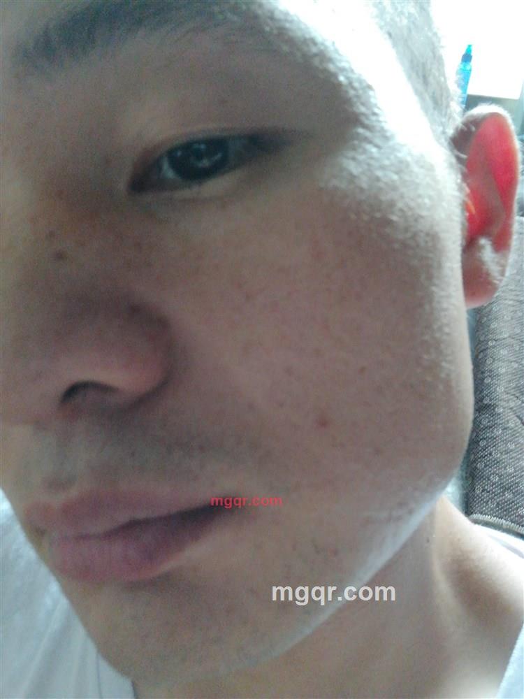 花丛寻蜜的第1张照片