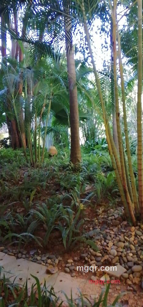 隔壁王的第1张照片